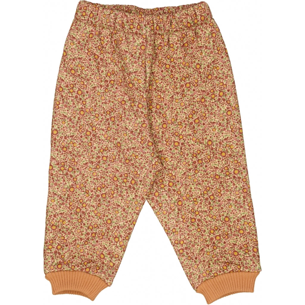 the-place-to-buy-thermohose-alex-baby-buttercups-fashion_0.jpg