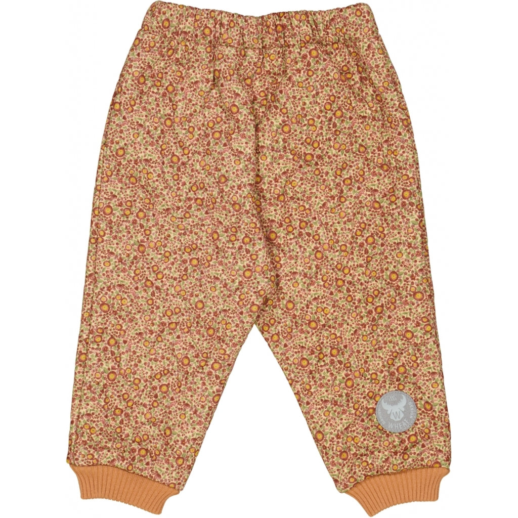the-place-to-buy-thermohose-alex-baby-buttercups-fashion_1.jpg