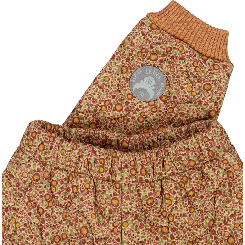 the-place-to-buy-thermohose-alex-baby-buttercups-fashion_2.jpg