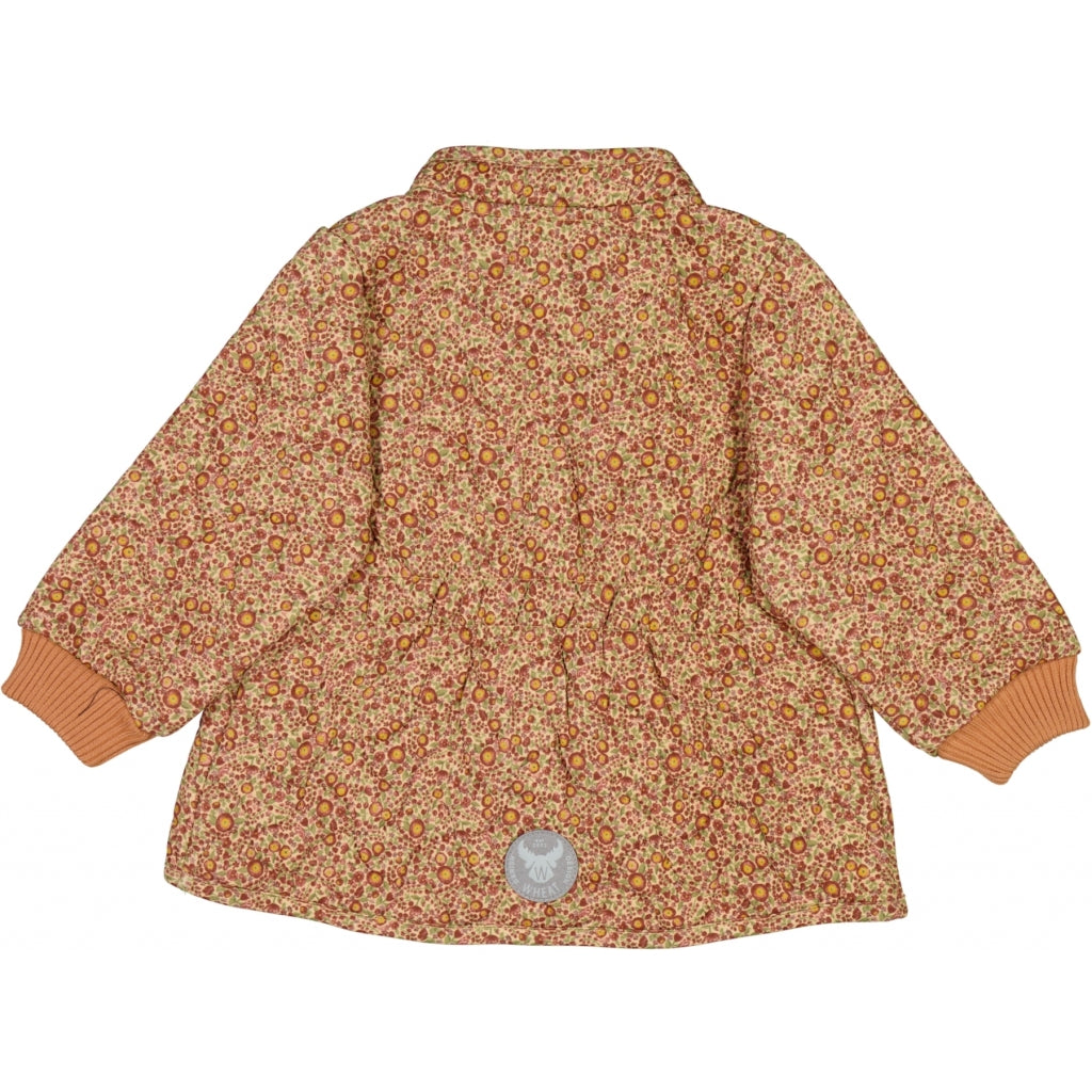 the-original-online-store-of-thermojacke-thilde-baby-buttercups-sale_1.jpg
