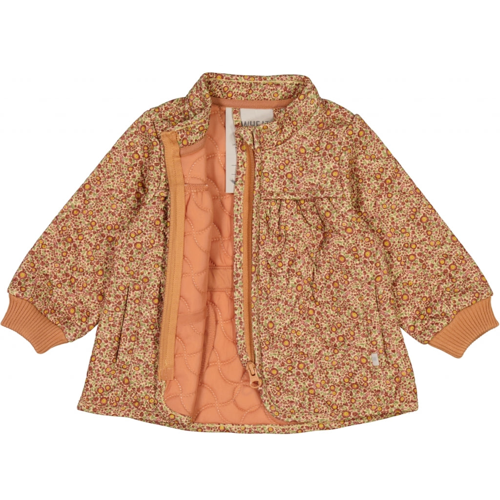 the-original-online-store-of-thermojacke-thilde-baby-buttercups-sale_2.jpg