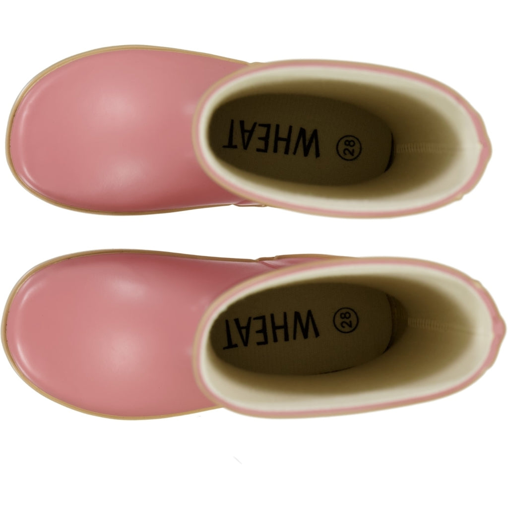we-offer-a-huge-selection-of-cheap-gummistiefel-alpha-blush-online-sale_1.jpg