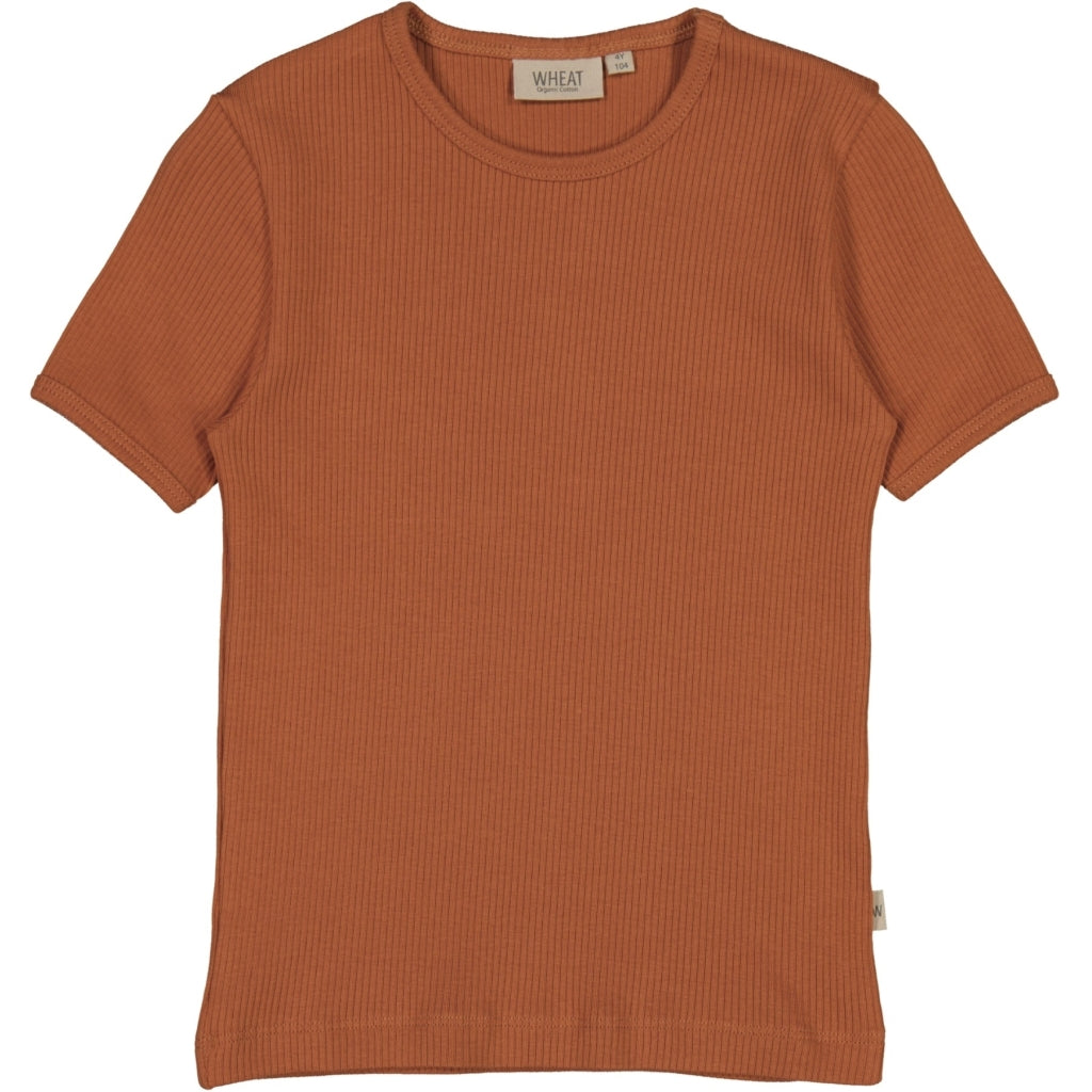 shop-the-official-online-store-of-t-shirt-ripp-amber-brown-online-sale_0.jpg