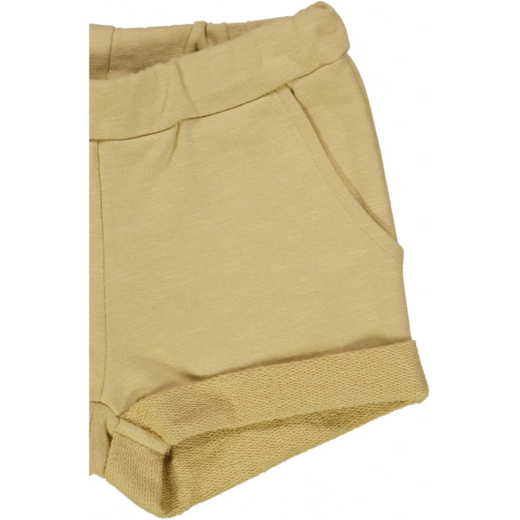 find-shorts-antonie-oat-online-now_2.jpg