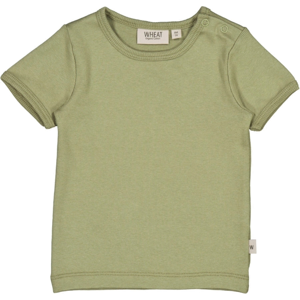 get-a-real-discount-of-ripp-t-shirt-forest-mist-fashion_0.jpg