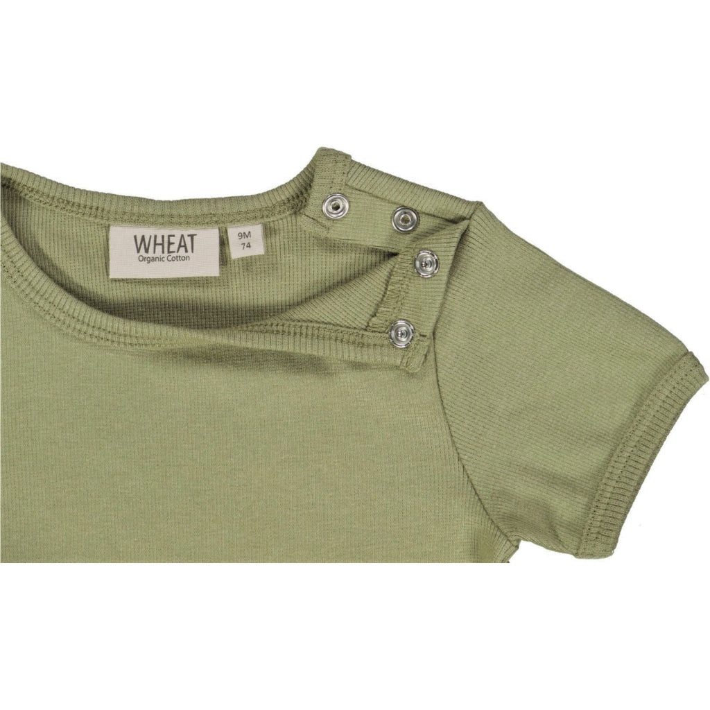 get-a-real-discount-of-ripp-t-shirt-forest-mist-fashion_2.jpg