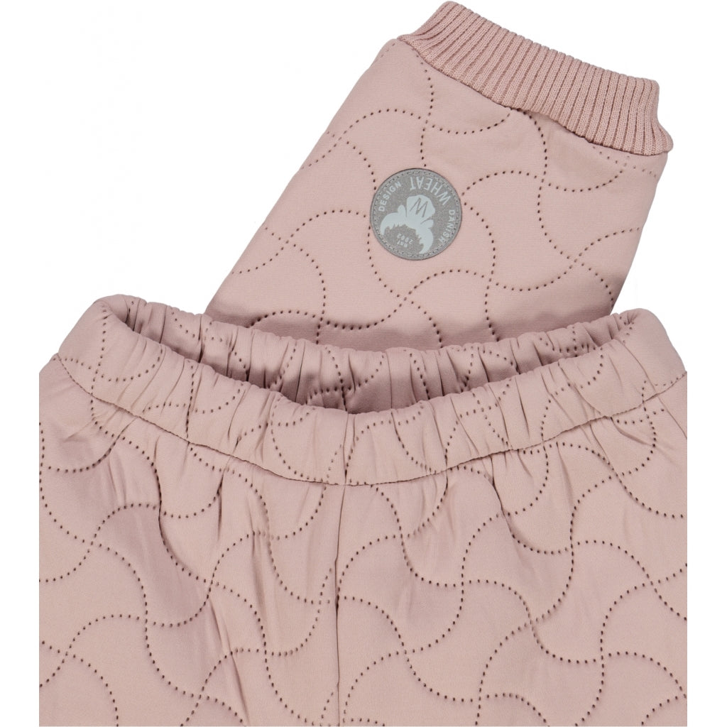 order-your-favorite-thermohose-alex-rose-online-hot-sale_2.jpg