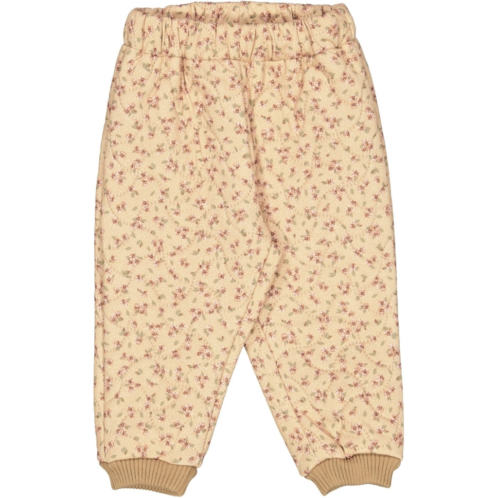 shop-professional-and-licensed-thermohose-alex-baby-oat-flower-1-supply_0.jpg