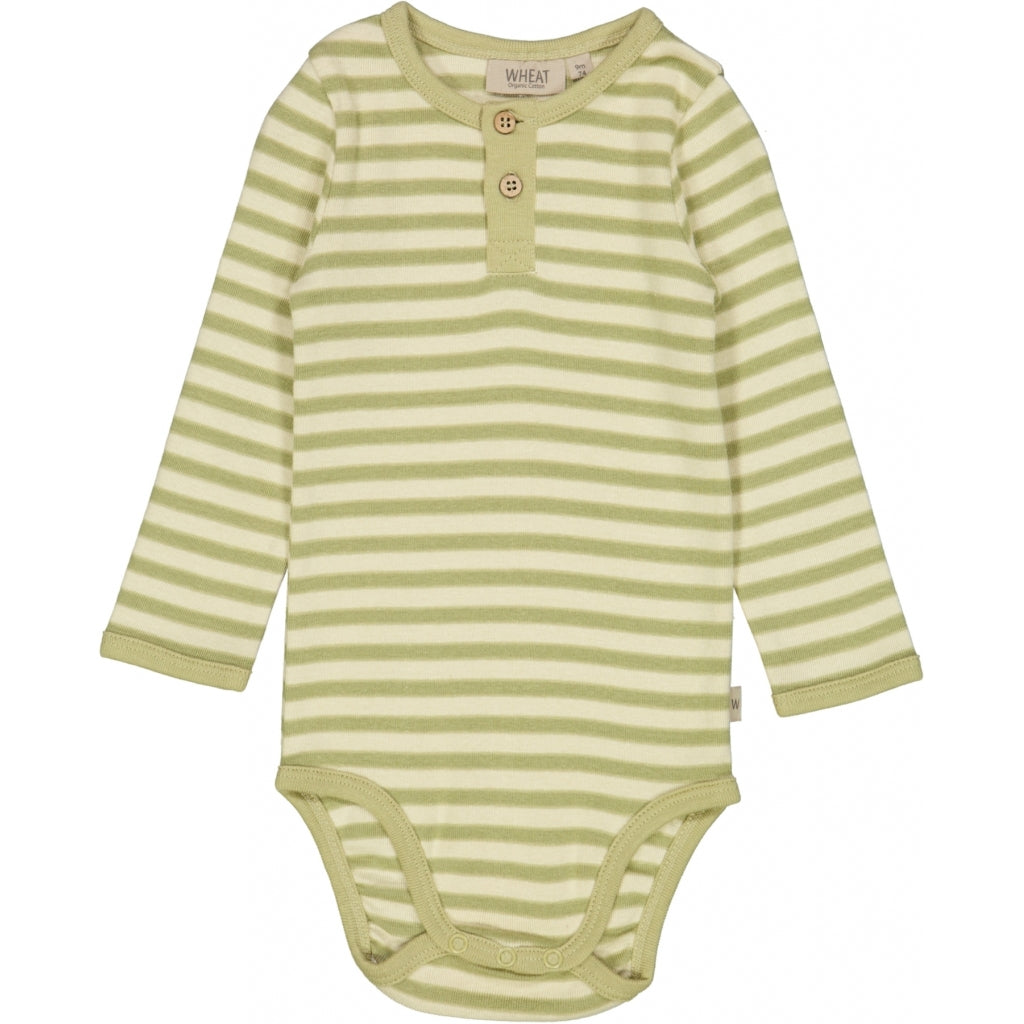 buyers-shop-larmarmbody-mit-knopfen-green-stripe-online_0.jpg