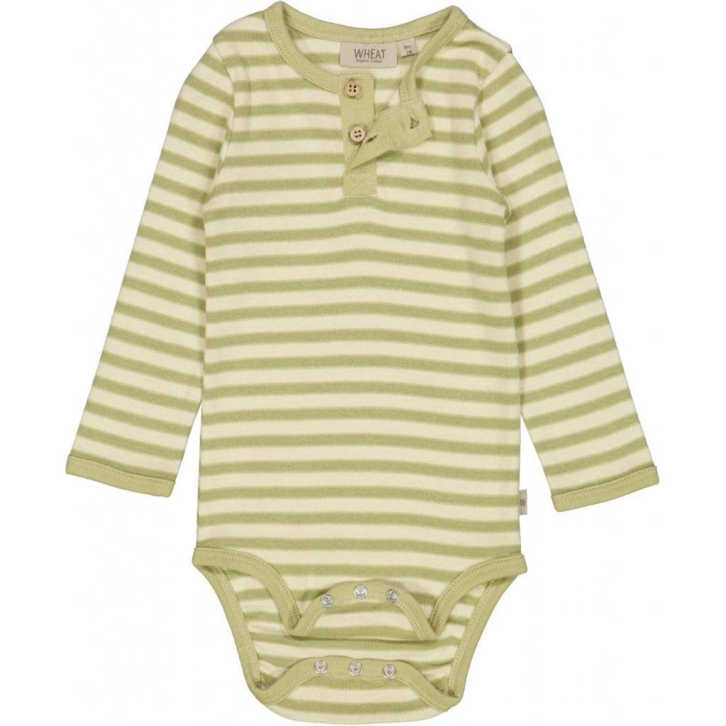 buyers-shop-larmarmbody-mit-knopfen-green-stripe-online_2.jpg