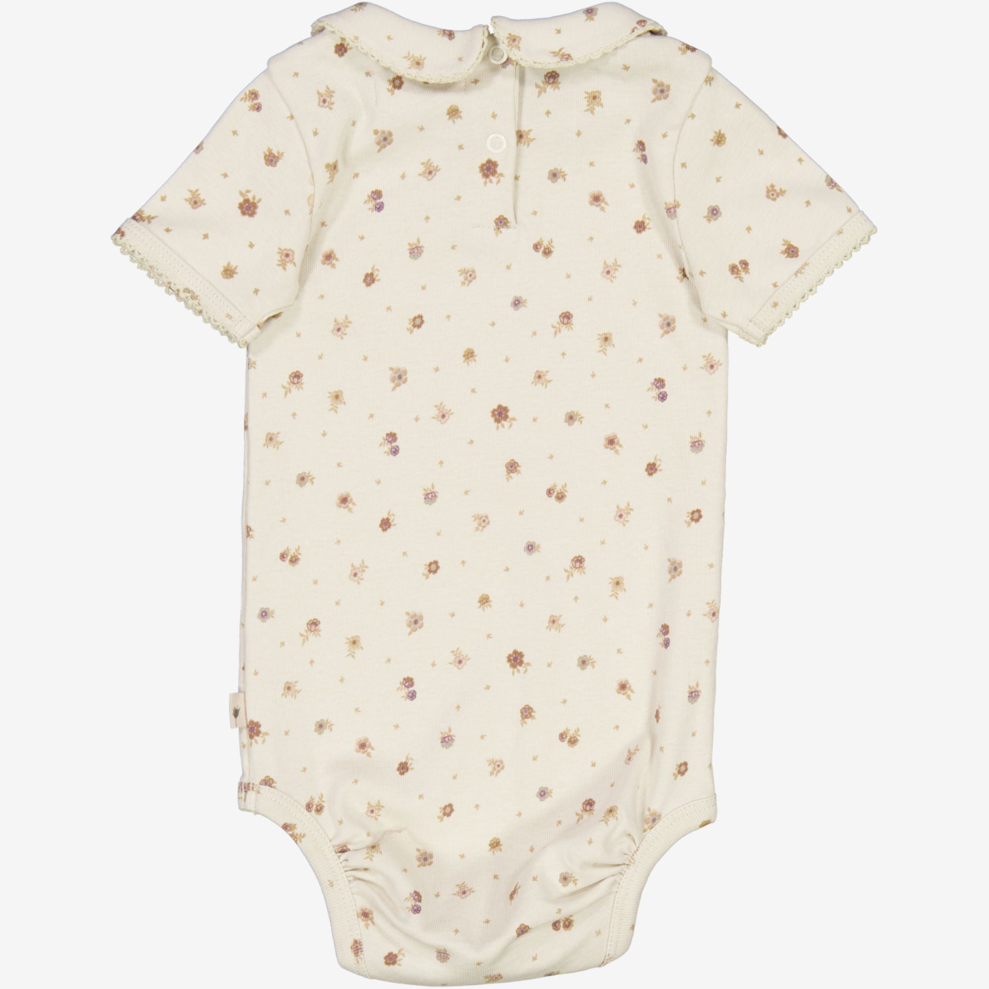 your-one-stop-shop-for-body-beate-chalk-flowers-online_1.jpg