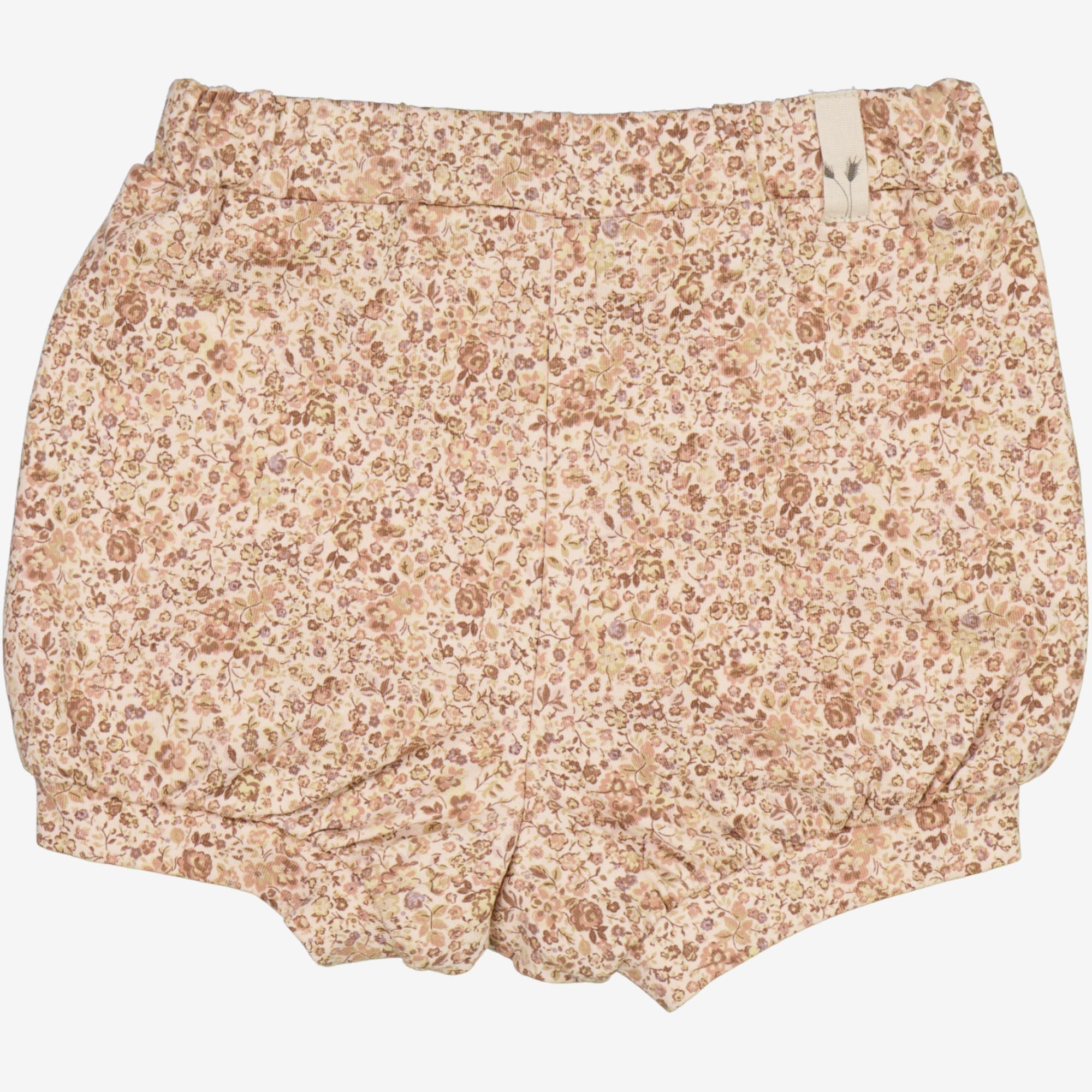 your-online-store-for-short-issa-baby-rose-flowers-supply_1.jpg