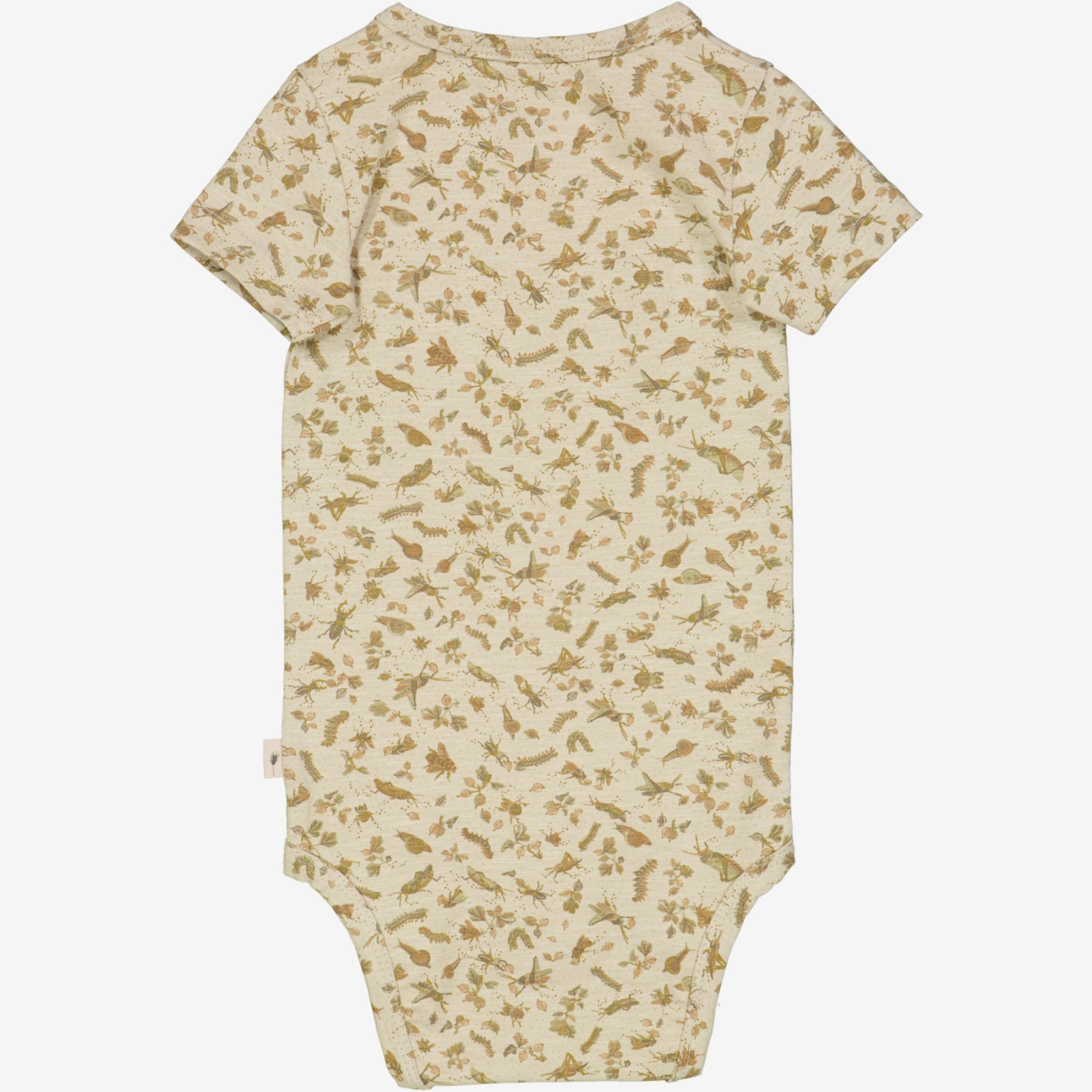 clearance-body-plain-fossil-insects-sale_1.jpg