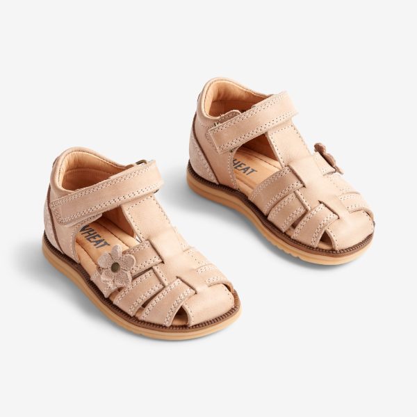 big-savings-on-quality-sky-sandale-flower-baby-beige-rose-sale_0.jpg