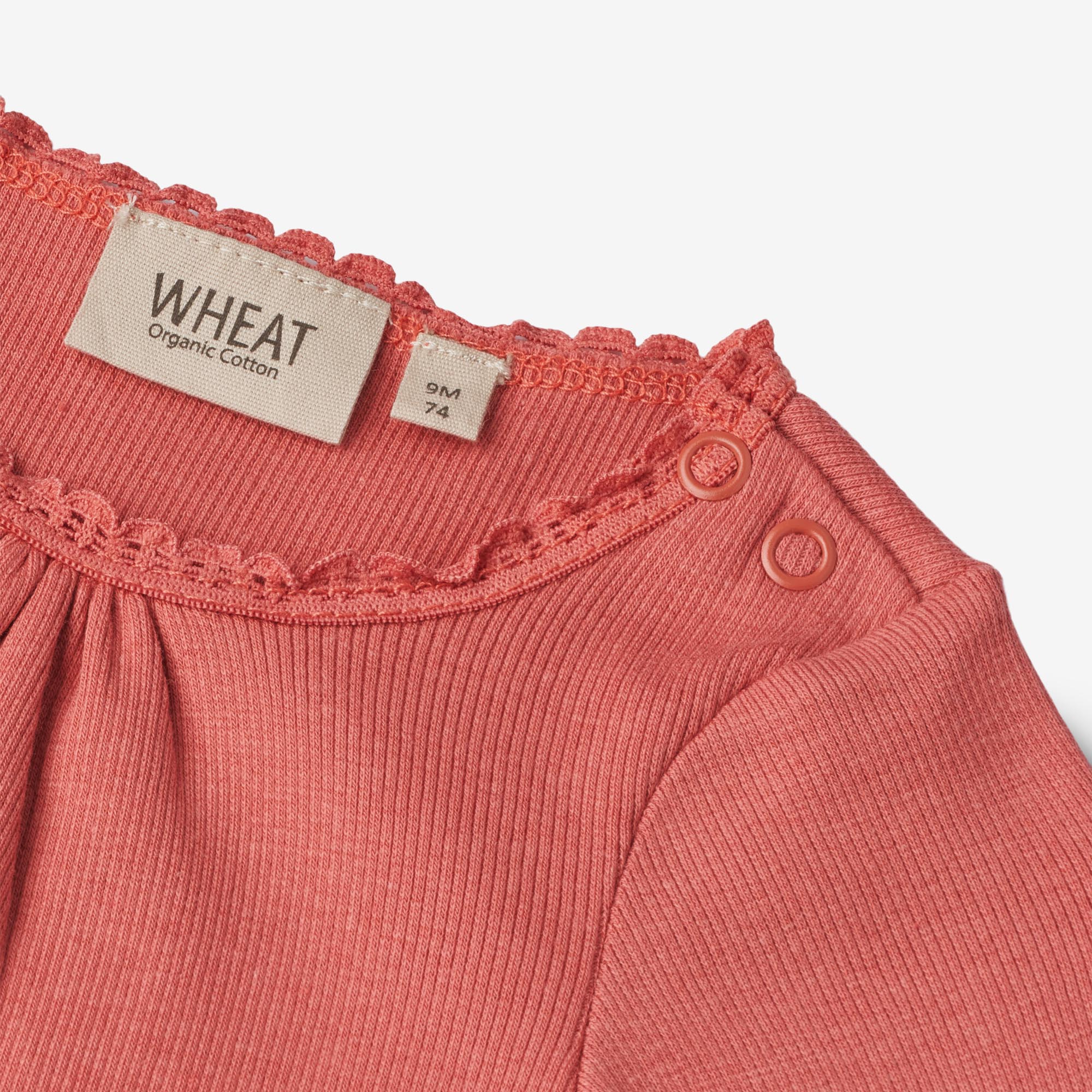 buy-your-new-rippen-body-lotta-baby-faded-rose-online-now_2.jpg